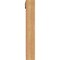 Ekena Millwork Thorton Traditional Smooth Bracket w/ Offset Brace, Western Red Cedar, 5 1/2"W x 28"D x 36"H BKT0604X28X36THR01SWR - alternate 3